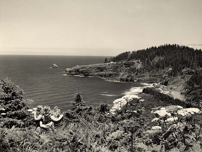 Three women with arms around each other look out from a view point over ocean waters on the left and coast line with trees right