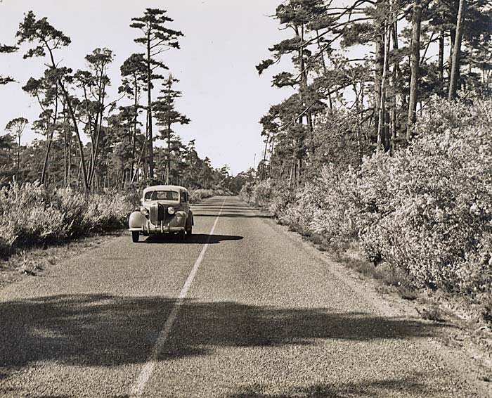 A single car travels a 2 lane road with vegetation and tall evergreens on each side.