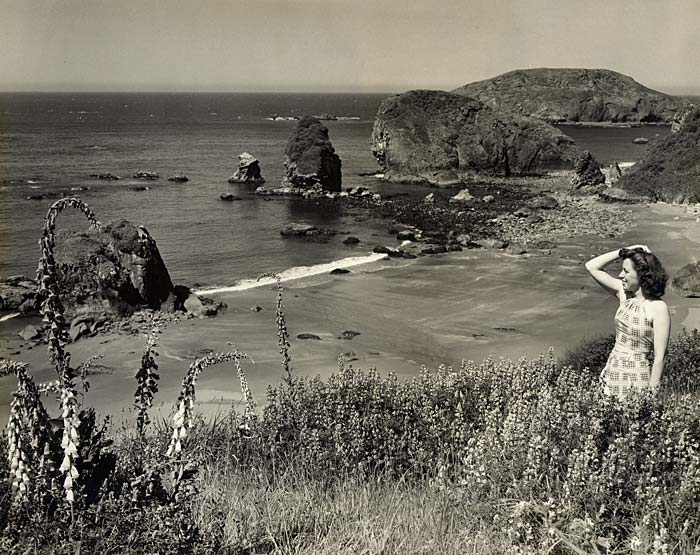 A woman stands on a grassy, flowered hillside looking out over the coast line with large rock formations just off shore.