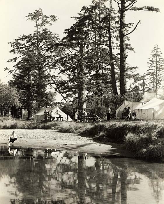 People picnic at tables with tents spread among tall evergreen trees beside a stream.