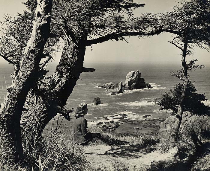 Woman sits on hillside with grass and short trees looking out over ocean to Seal Rocks in center.