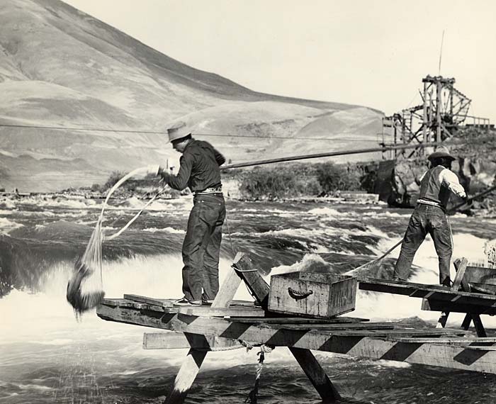 Two Native American men stand on wood scaffolding and dip nets into the water. One pulls out a fish.