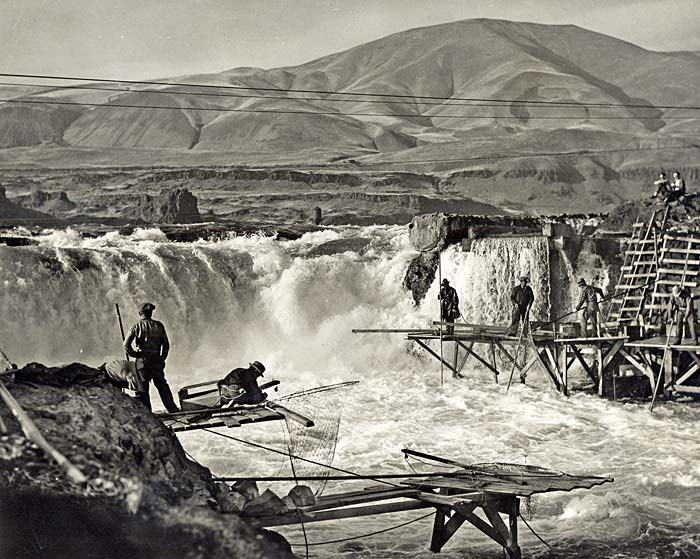 Celilo Falls with wooden fishing perches flanking each side. About 8 men are seen working various nets and poles to fish.