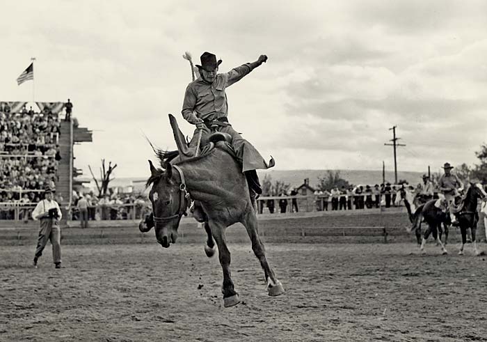 Cowboy on a bucking horse at the Pendleton Round-up.