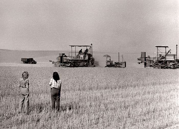 Two women stand in a wheat field watching farm equipment harvesting wheat.