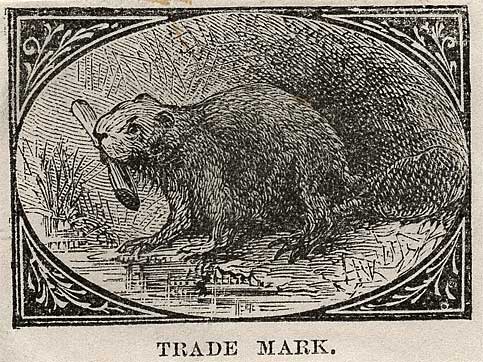 Drawing of beaver with log in mouth on the bank of a water feature.