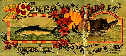 Drawing of salmon in river on left. Drawing of otter with salmon in mouth on right. Reads "Fresh spring salmon Celilo Brand"