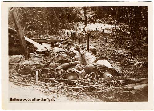 Dead German soliders lie in wooded area.
