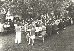 People sitting at long tables outside under trees, eating and talking.