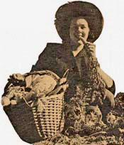 Woman in sun hat eats a carrot from a basket of produce.