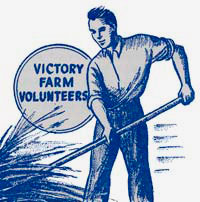 Drawing of man raking or harvesting wheat. Text reads "Victory farm volunteers"