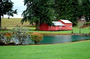Red barn next to calm pond on bright green lawn. Trees behind house partially shield farmland in the back.