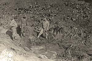 3 soldiers stand in a filed of skunk cabbage with a hole in the middle.