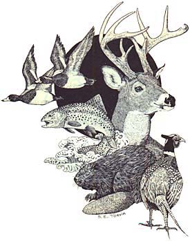 Drawing of 2 ducks, a fish, a beaver, a pheasant, and the head of a dear with antlers.