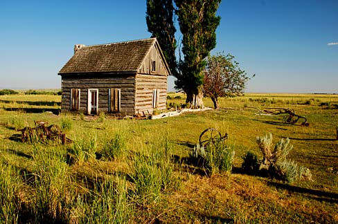 small log cabin sits in a green grass field with few trees.