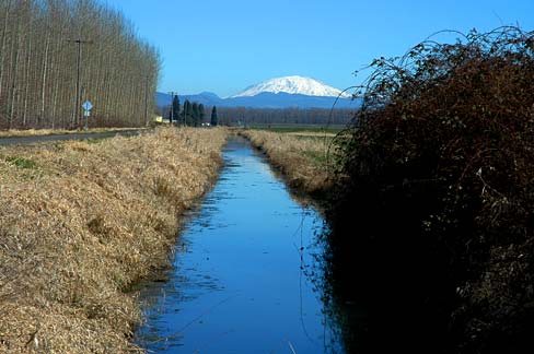 Canal with water in it stretching out towards horizon and Mt. St. Helens with snow in the background.