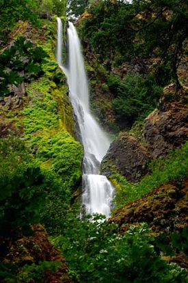 Waterfall tucked between high rocks and lush vegitation in the Columbia Gorge.
