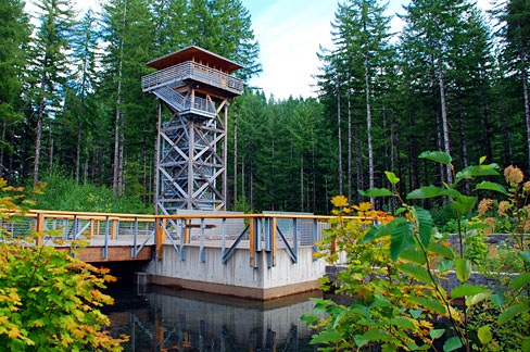 Forest lookout tower in Tillamook.