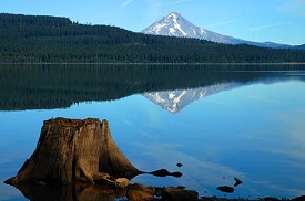 Timothy lake with an old stump of a tree in the foreground and Mt. Hood with sparse snow on top in the background.
