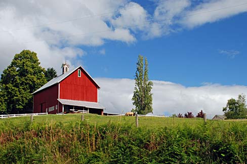 Traditional red barn with expansive field in front and trees to the back and side.