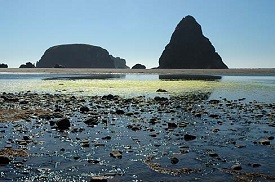 Oregon beach with tall and wide rock formations at the water line.