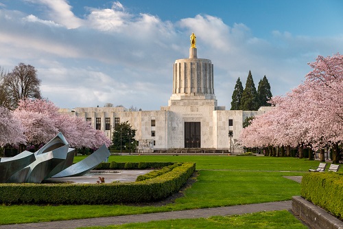 Capitol building in Salem shown with grass lawn and flowering cherry trees in front.