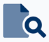 Audits Icon