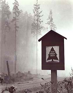 A smoky forest background with a sign on the side of the road that says 