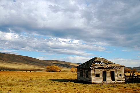 Log cabin with thatch roof with holes in roof and walls. Looks abandoned. Golden hills in the distance.