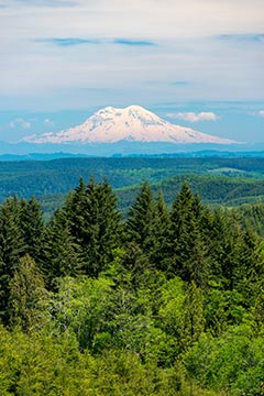 A snow-covered mountain peak rises in the distance beneath a partly cloudy sky, with layers of evergreen forest and rolling green hills in the foreground.