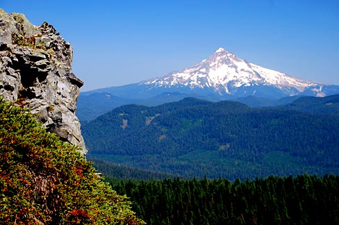 Snow covered Mt. hood seen in the distance on a clear day with blue sky and green trees.