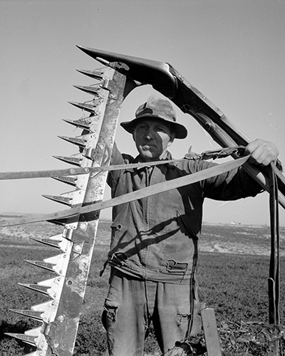 A man stands in a field with a sickle bar mower blade. The blade is 6-7 feet long.