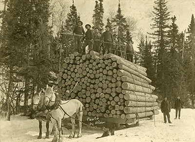 Two horses hitched to a huge load of logs on a sleigh. 7 men stand on top of the pile of logs. 2 stand in the snow with a dog.