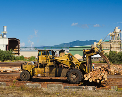 A piece of construction equipment on wheels with grasping arms in the front holds about a dozen large logs. 