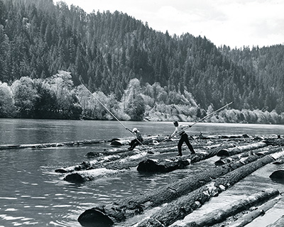2 men with long poles push logs around on a river. The men are standing on certain logs while pushing the others.