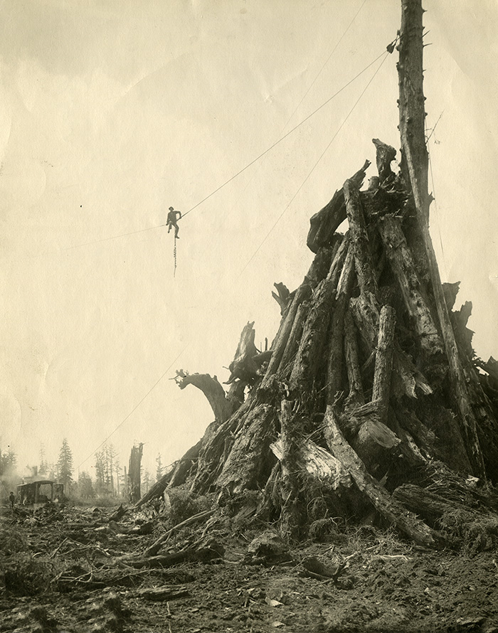 A man sits on a cable suspended high in the air and attached at one end to a tree trunk.