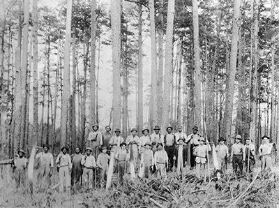 14 Afican American and 10 white men stand for a photo amid a forest. Some hold saws and other tools.