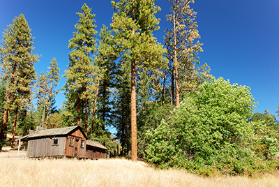One-story wood plank buildings set below tall evergreen trees with dry summer grass spreading out before them.