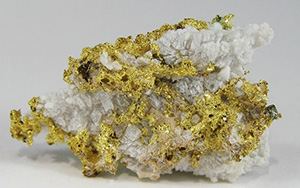 A rock with contrasting gold on white quartz