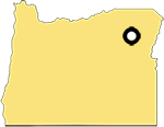 Outline of the state of Oregon with a marker denoting the location of town of Granite.