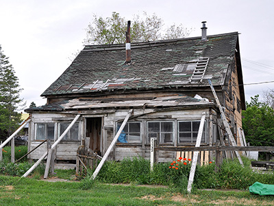 An old falling down house with pieces of wood proping up the sides. There's a ladder on the roof and one leading against 1 side.