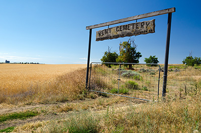 Tall grass and weeds along a dirt path leads to a gate. Over the gate is a sign reading "Ken Cemetery" made of wood.