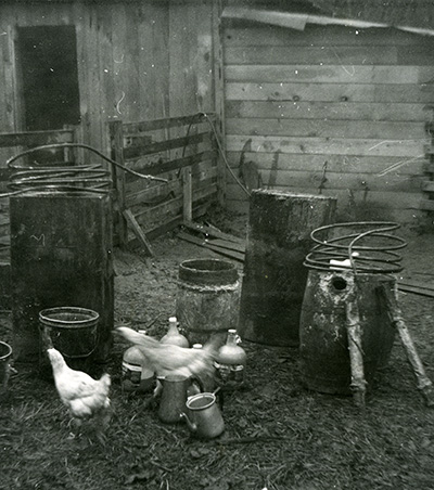 2 chickens running past still equipment consisting of metal coiling, barrels, pots and jars. A wood barn and fence stand in back