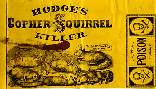 Drawing of dead gophers and squirrels with the words "Hodge's Gopher and Squirrel Killer" over top. Poison skull & crossbone.