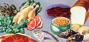 Drawing of foods such as bread, meat, fish, beans and lettuce.