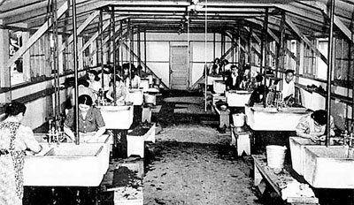 A long room with about 5 wash tubs lined up on each side. Women stand at each tub washing cloth.