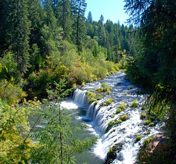 Wide waterfall, approximately 10 feet high flows amid rocks with grassy spots. Tall evergreen trees on the banks.