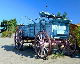 Buckboard wagon like those used by pioneers coming across the Oregon Trail in the 1800s.