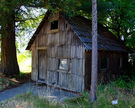 Wooden building in forested area