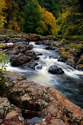 Gentle falls meander through mossy rocks. Trees with fall colors of yellow and orange on the banks.